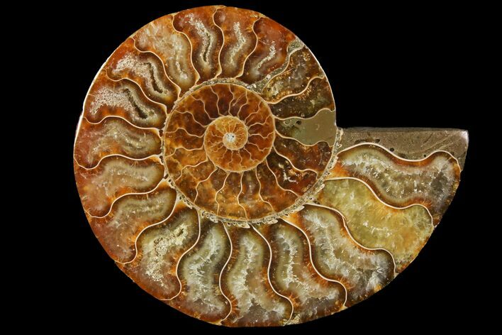 Agatized Ammonite Fossil (Half) - Madagascar #114933